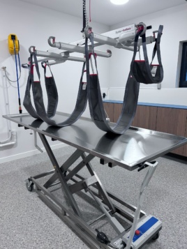 0001.165.00.0 - Plafondlift systeem